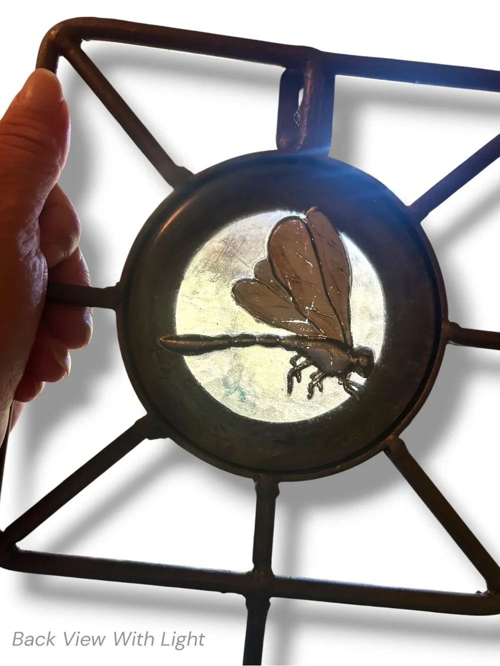 Rustic Dragonfly Print Under Glass Cast Iron Wall Hook Accent Foyer Garden Bath